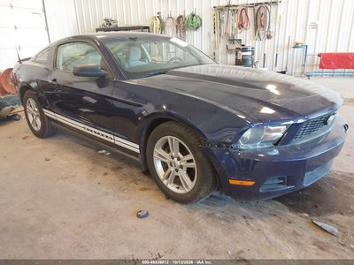 1ZVBP8AN0A5****** 2010 Ford Mustang