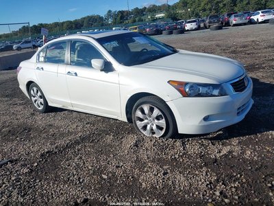 5KBCP3F88AB****** 2010 Honda Accord