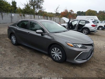 4T1C31AK2MU****** 2021 Toyota Camry