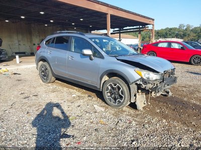 JF2GPACC8D2****** 2013 Subaru XV Сrosstrek