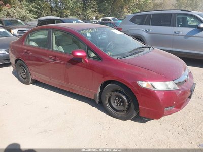 19XFA1F51AE****** 2010 Honda Civic