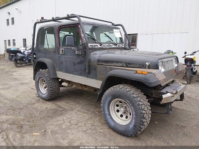 1J4FY29S1SP****** 1995 Jeep Wrangler