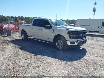 1FTFW3LD1RF****** 2024 Ford F-150