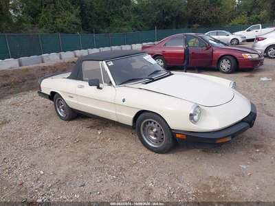 ZARBA5640H1****** 1987 Alfa Romeo Spider