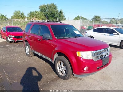 1FMCU9C7XBK****** 2011 Ford Escape