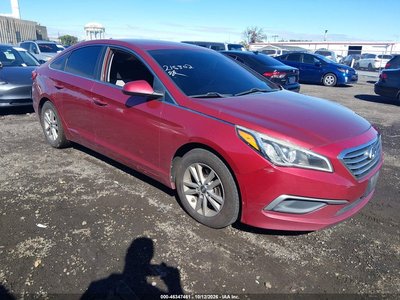 5NPE24AF1GH****** 2016 Hyundai Sonata