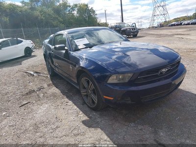 1ZVBP8AN8A5****** 2010 Ford Mustang