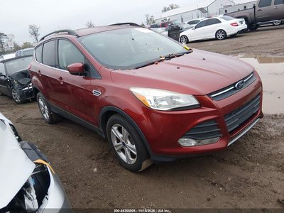 1FMCU0G96GU****** 2016 Ford Escape