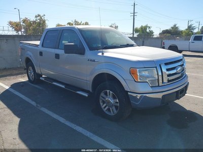 1FTRW14899F****** 2009 Ford F-150