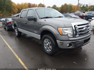 1FTFW1ET7BF****** 2011 Ford F-150