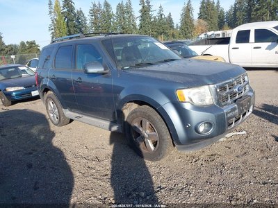 1FMCU9EG5AK****** 2010 Ford Escape