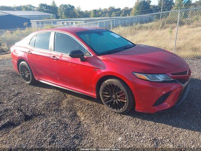 4T1B11HKXKU****** 2019 Toyota Camry