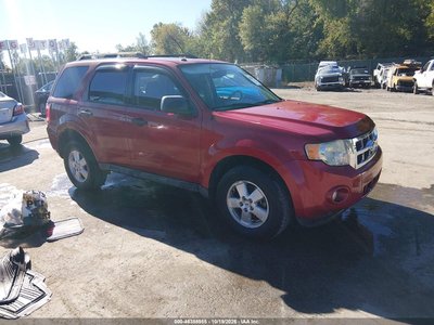 1FMCU0D71AK****** 2010 Ford Escape