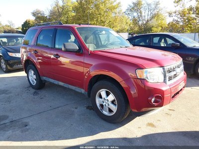 1FMCU0D77BK****** 2011 Ford Escape