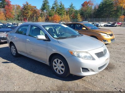 1NXBU40E49Z****** 2009 Toyota Corolla