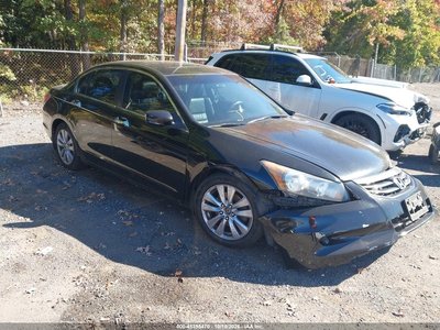 5KBCP3F80BB****** 2011 Honda Accord