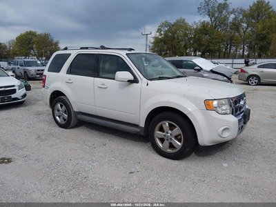 1FMCU0EG5AK****** 2010 Ford Escape
