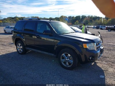 1FMCU9EG8BK****** 2011 Ford Escape